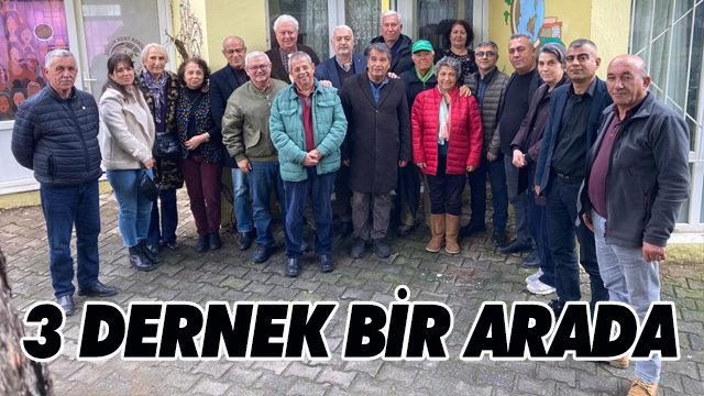 3 DERNEK BİR ARADA